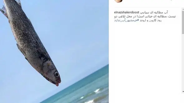 واکنش متفاوت الناز شاکردوست به ماجرای خرمشهر