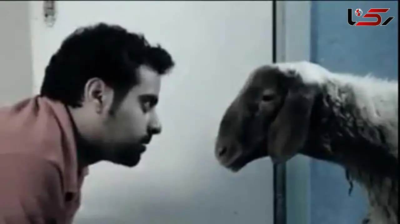 این فیلم وحشتناک معتادان شیشه را ترک می دهد +فیلم