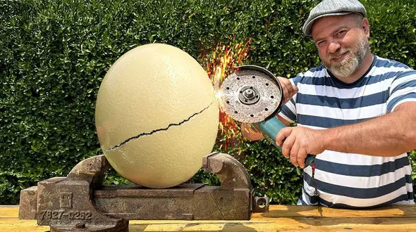 راز پخت املت سنتی آذربایجان با تخم شترمرغ و گوشت؛ تجربه‌ ای خوشمزه + فیلم