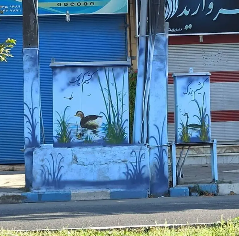 پرندگان بومی 
