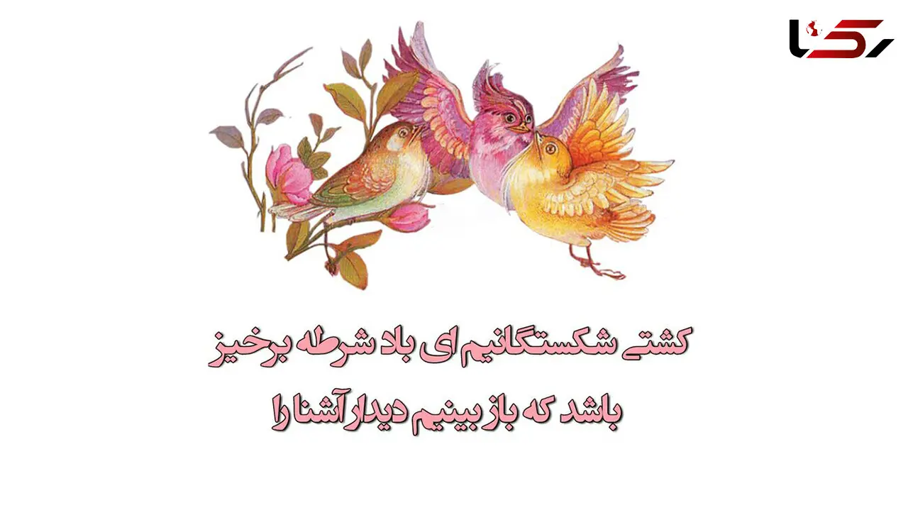 فال حافظ امروز 17 آبان + فیلم