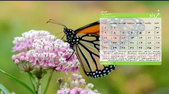 تقویم خرداد 1404 / مناسبت‌ ها، تعطیلات و جدول تصویری