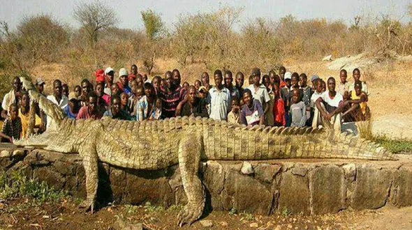 رعب انگیز ترین تمساح تاریخ را ببینید+ تصویر باورنکردنی