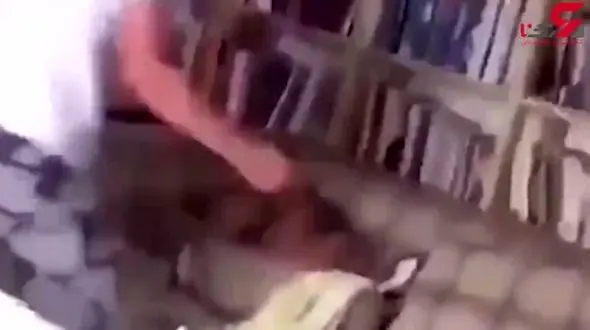 ضرب و شتم وحشیانه یک سگ توسط جوان حیوان صفت! +فیلم