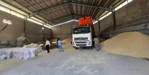 ورود سازمان بازرسی به واردات و توزیع نهاده های دامی با دستور رئیس قوه قضاییه