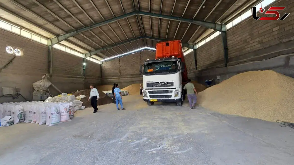 ورود سازمان بازرسی به واردات و توزیع نهاده های دامی با دستور رئیس قوه قضاییه