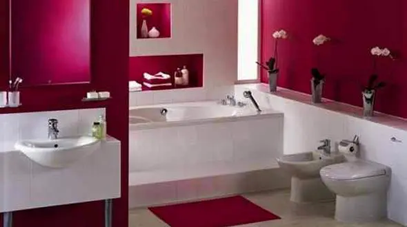 ویروس کشی در حمام با ساده ترین ترفندها