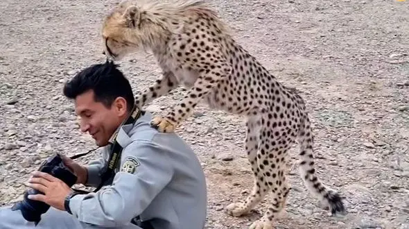 ببینید / فیلم جالب از آذر و محیط‌بان 