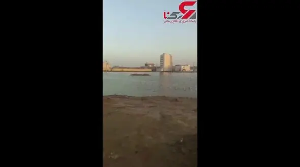 پرواز مرغان دریایی بر فراز دریاچه در منطقه کیانشهر + فیلم