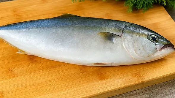 یاد بگیرید چگونه شام لذیذی با ماهی، سبزیجات و سس مخصوص درست کنید + فیلم