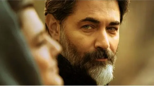 عکسی از پارسا پیروزفر در کنسرت خواننده مشهور