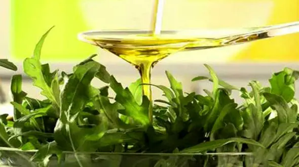 بهترین گیاه ضد سرطان