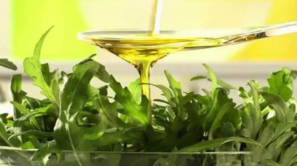 بهترین گیاه ضد سرطان