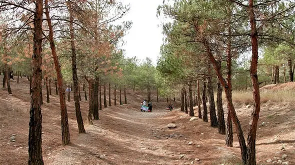 شلیک خونین پلیس به 3 پسر و دختر دزد در پارک چیتگر