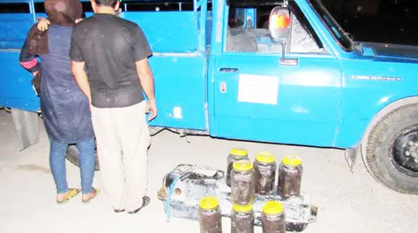 ترشی تریاک / دستگیری زوج جوان که این ترشی ها را بار گذاشتند+عکس متهمان و دبه های ترشی