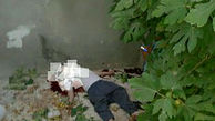 سقوط مرگبار مرد مشهدی از درخت انجیر+عکس