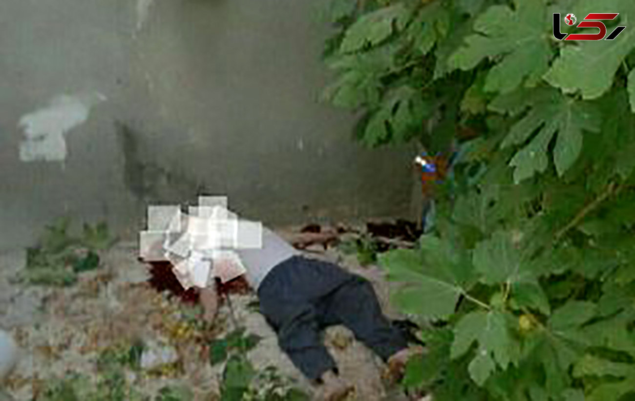 سقوط مرگبار مرد مشهدی از درخت انجیر+عکس