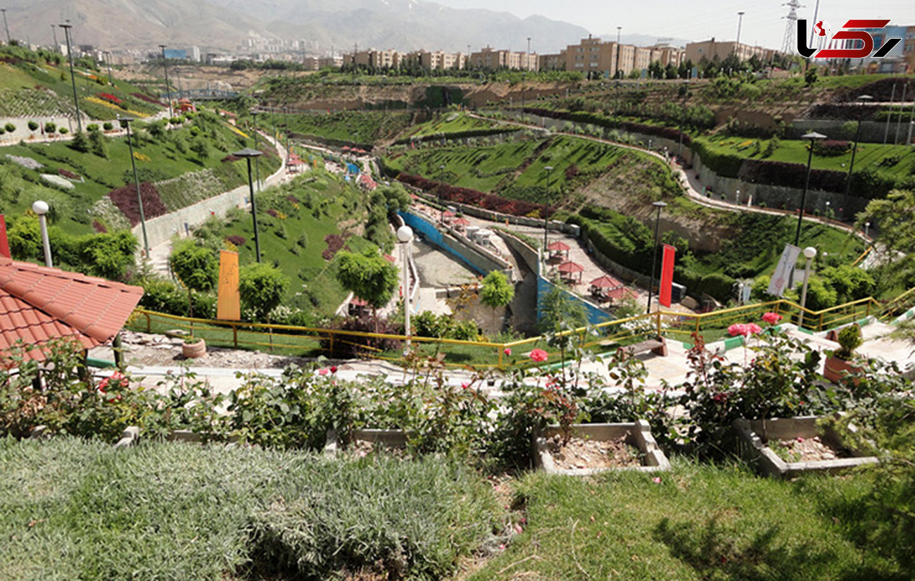 داستان عجیب پرسه های یک شیر در پارک نهج‌البلاغه تهران