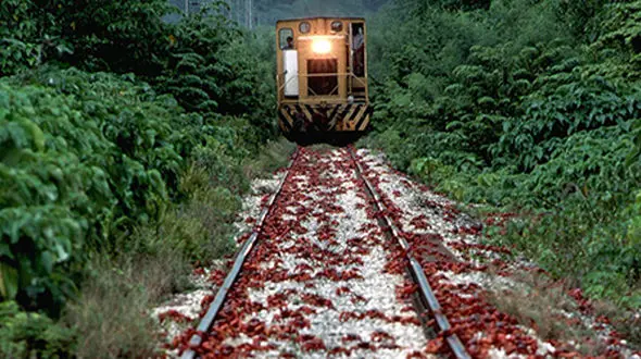 جزیره خرچنگ‌های سرخ + فیلم