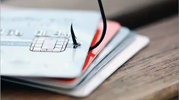 آگهی کار روی کشتی کار دست این جوان مشهدی داد / او کلاهبردار حرفه ای شد