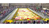 ساخت فرشی با 600 هزار گل+عکس