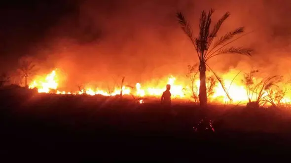 شعله‌ها در مسیر باغات گردو و پسته؛ هماگِ بندرعباس همچنان می سوزد / خاموش کنندگان مردمی دست تنها مانده اند