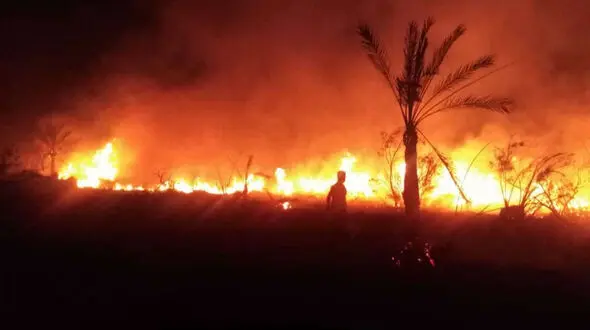 شعله‌ها در مسیر باغات گردو و پسته؛ هماگِ بندرعباس همچنان می سوزد / خاموش کنندگان مردمی دست تنها مانده اند