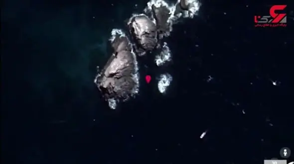 تماشای ماهی‌های زیر دریا با گوگل