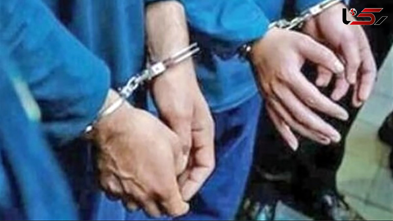 9 موبایل‌ قاپ خشن در بهارستان دستگیر شدند