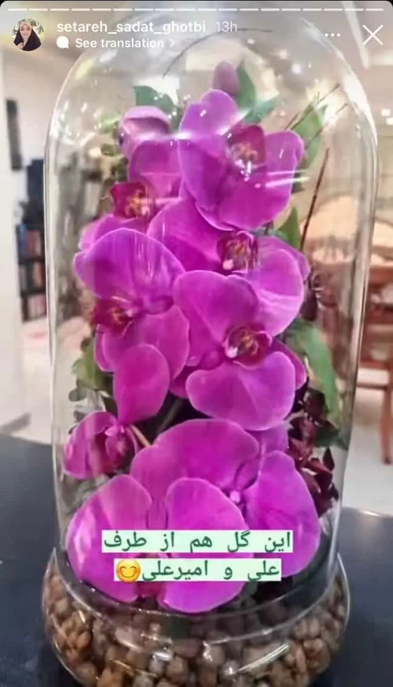 ستاره سادات قطبی
