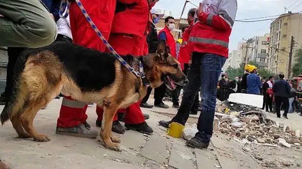 اسامی قربانیان فاجعه هولناک اهواز + فیلم