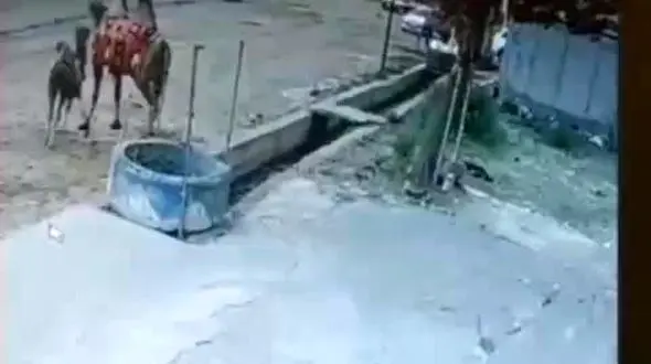 بریدن ترمز خودروی پژو در روستای آلوارس سرعین