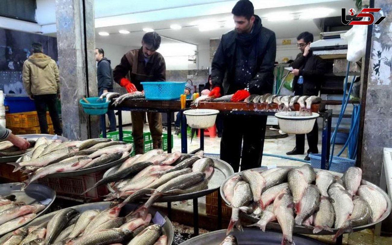افزایش 60 درصدی قیمت ماهی نسبت به سال گذشته
