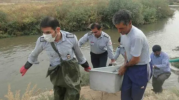 کشف جنازه نوجوان اردبیلی در سیل / تلاش برای یافتن جنازه دیگر