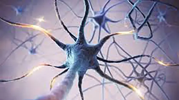 بیماری ALS چه نوع بیماری است؟