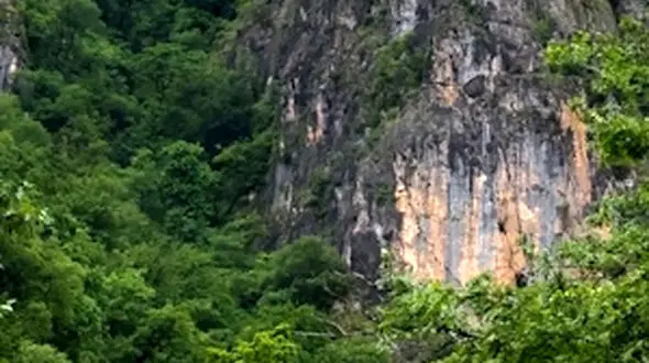 ببینید / طبیعت زیبای مازندران شهر گلستان