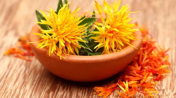 کاهش اثر شیمی درمانی با عصاره دانه های یک گل