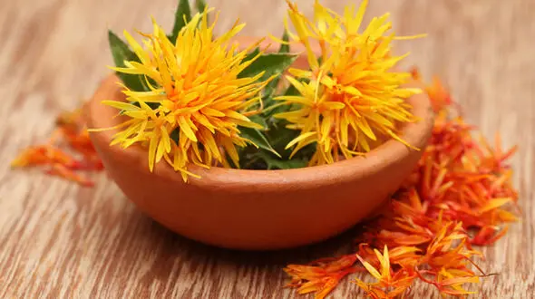 کاهش اثر شیمی درمانی با عصاره دانه های یک گل
