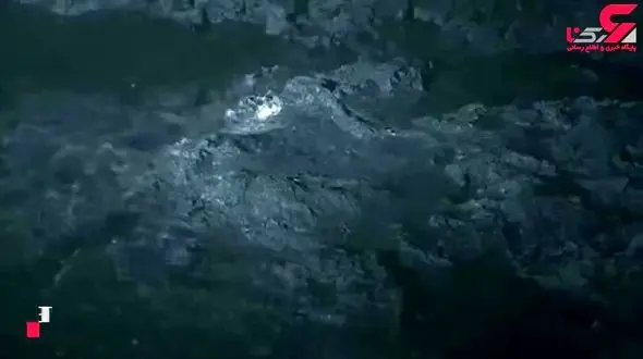 سمی ترین مار دنیا، لذیذ ترین غذای این پیرزن + فیلم عجیب