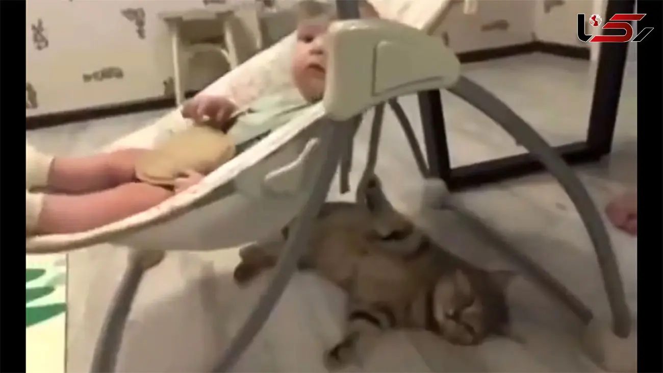 ببینید / حرکت باورنکردنی یک گربه برای خواباندن نوزاد انسان / حیرت زده می شوید