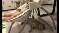 ببینید / حرکت باورنکردنی یک گربه برای خواباندن نوزاد انسان / حیرت زده می شوید