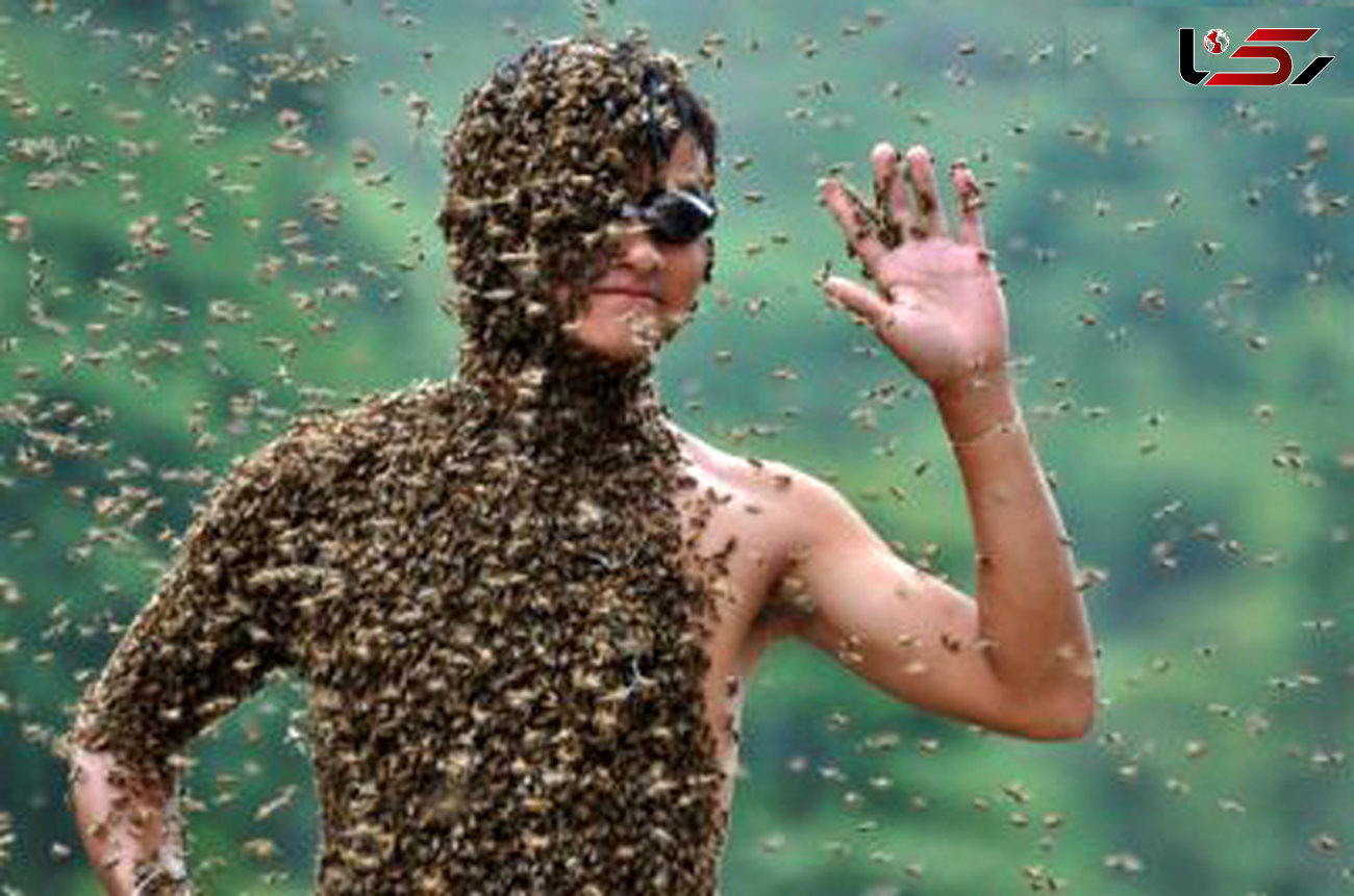 رقابت های سالیانه پوشش بدن با زنبور