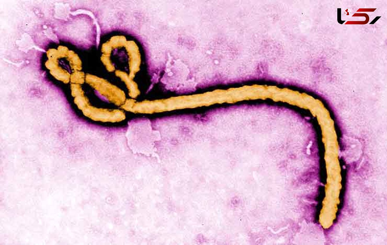 دیوانه شدن نجات یافته های ابولا