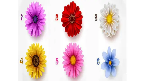 تست : یک گل را انتخاب کنید ! / شما به عشق نیاز دارید ! + عکس