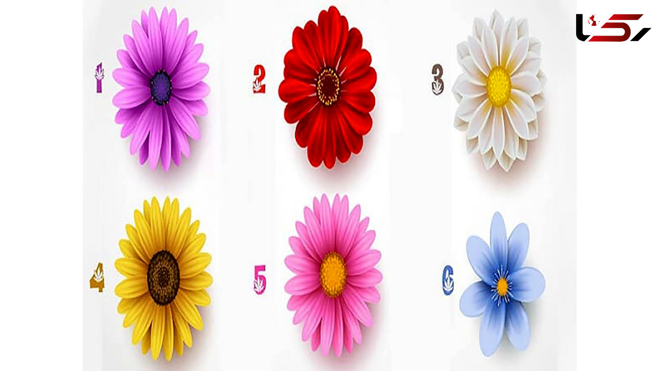 تست : یک گل را انتخاب کنید ! / شما به عشق نیاز دارید ! + عکس