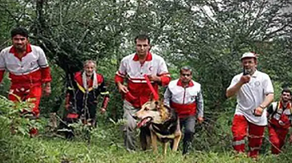 راز 4 ساعت گمشدن یک زن در جنگل دوخاله کوه