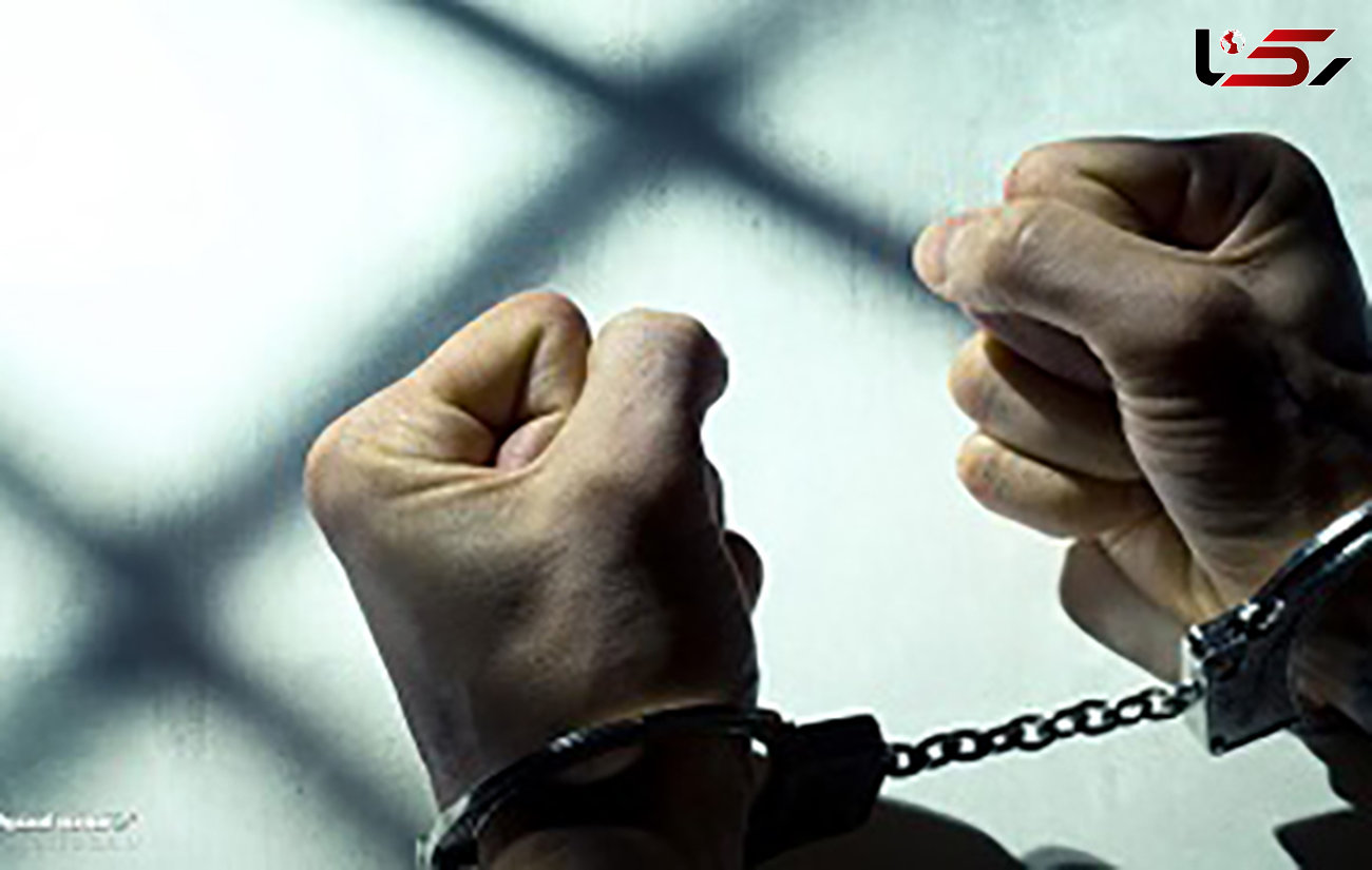 بازداشت 11 نفر در پرونده قاچاق مشروبات الکلی