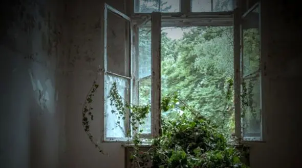 فال روزانه شخصی / 17 اسفند ماه + فیلم