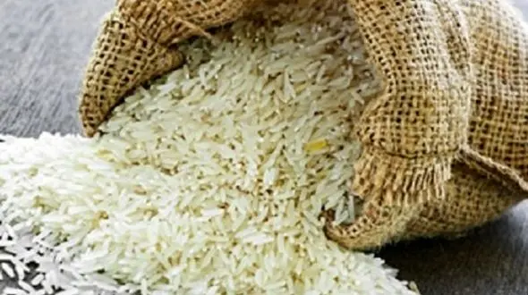 آرسنیک چه آسیبی به سلامتی می زند؟/اختلال در تکامل مغز نوزادان