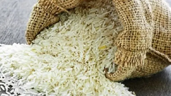 آرسنیک چه آسیبی به سلامتی می زند؟/اختلال در تکامل مغز نوزادان